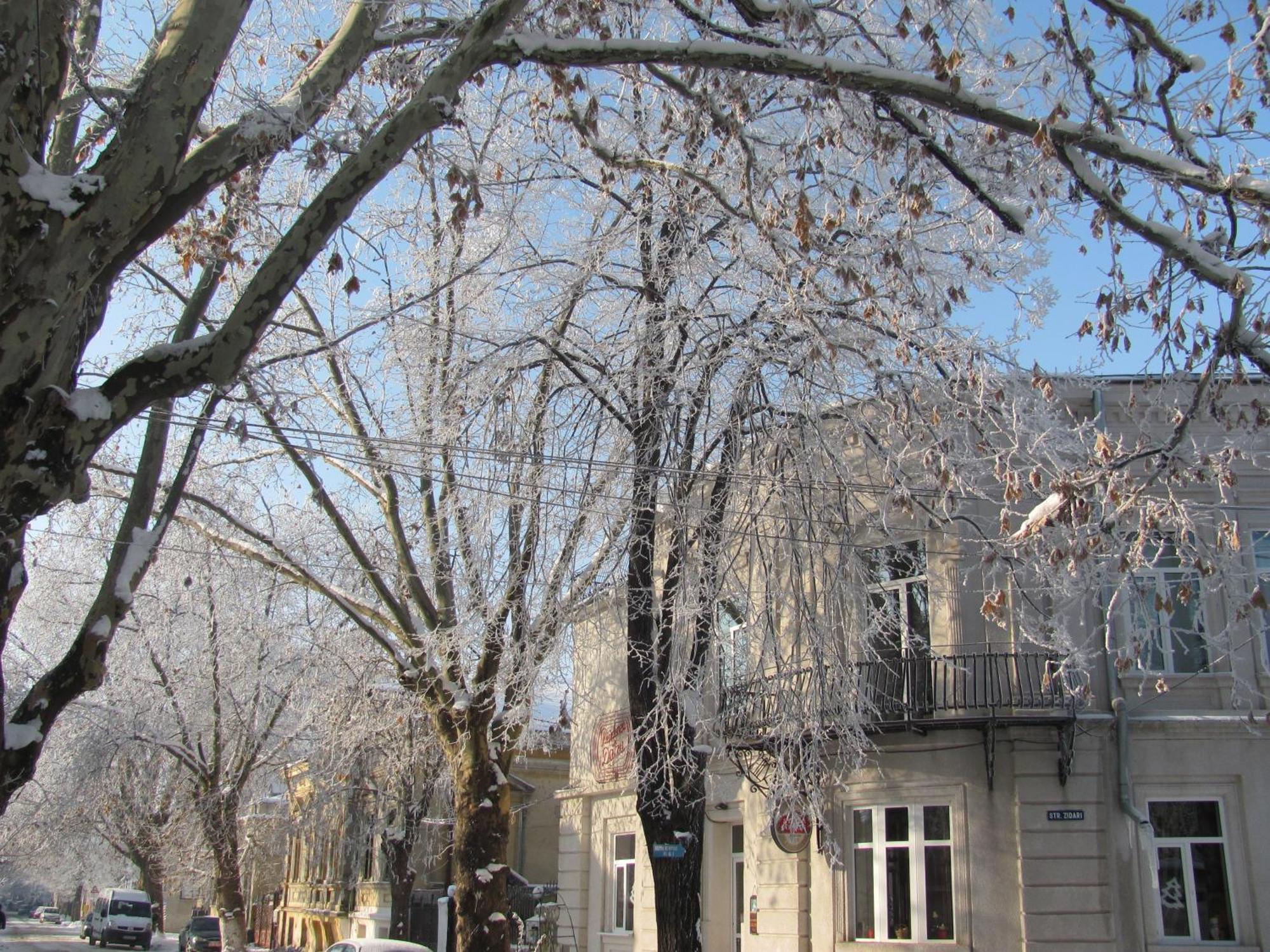 Residenza Dutzu-Boutique Hotel Brăila Exterior foto