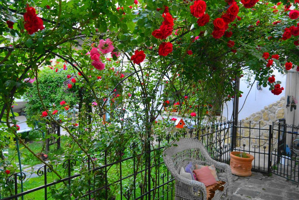 Residenza Dutzu-Boutique Hotel Brăila Exterior foto
