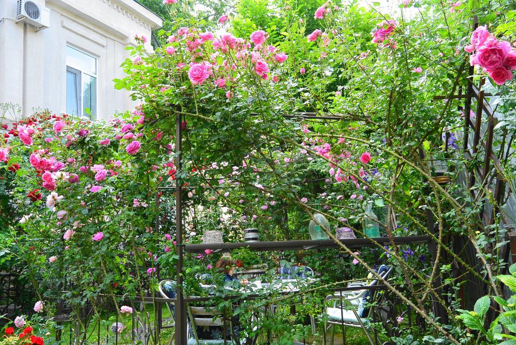 Residenza Dutzu-Boutique Hotel Brăila Exterior foto